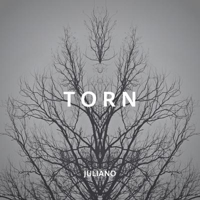 Torn's cover