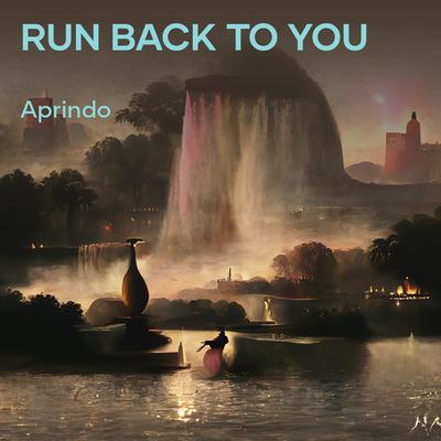 Run Back to You (Remix)'s cover