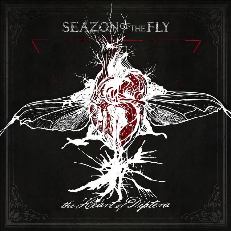 Seazon of the Fly's avatar image