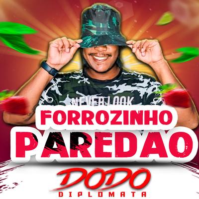 Forrozinho Paredão's cover