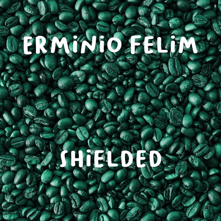 Erminio Felim's avatar image