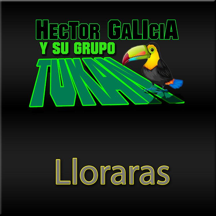 Hector Galicia Y Su Grupo Tukan's avatar image