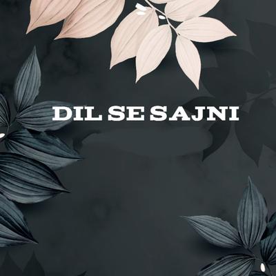 Dil Se Sajni's cover