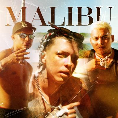 Malibu By Arthurzim, West Reis, Doixton, Ed's cover