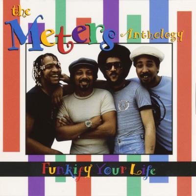 Funkify Your Life By The Meters's cover