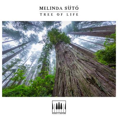 Tree Of Life By Melinda Sütő's cover