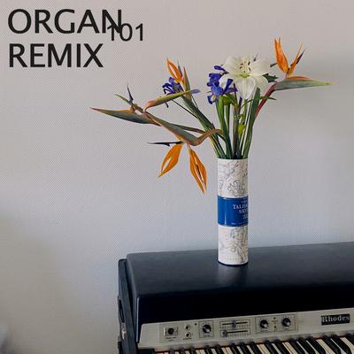 Organ 101 Remix's cover