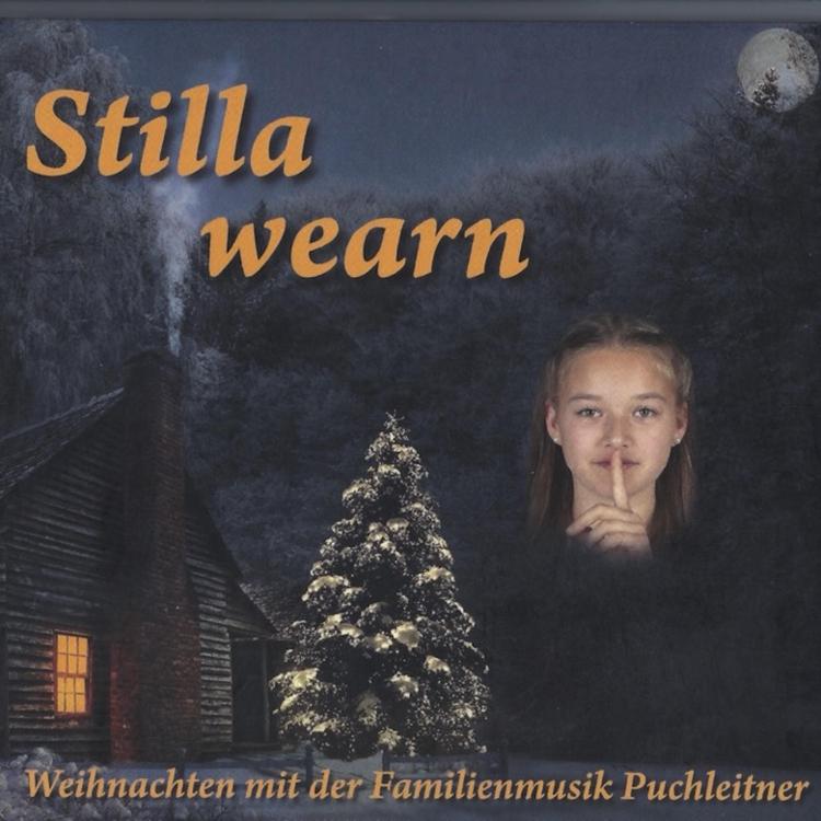 Familienmusik Puchleitner's avatar image
