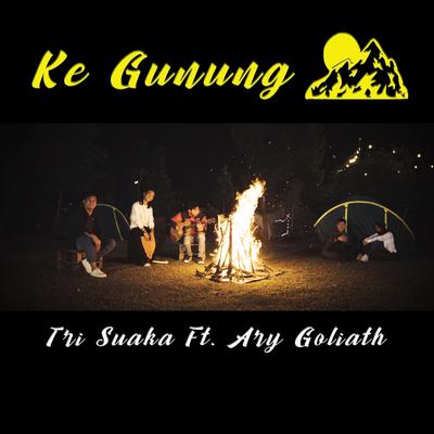 Ke Gunung (Patah Hati Ini Kan Berakhir)'s cover