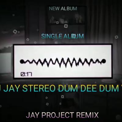 DJ JAY STEREO DUM DEE DUM, Vol. 1's cover