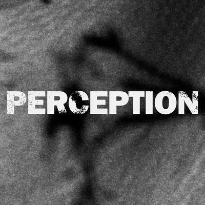 Perception By ELEVIN's cover