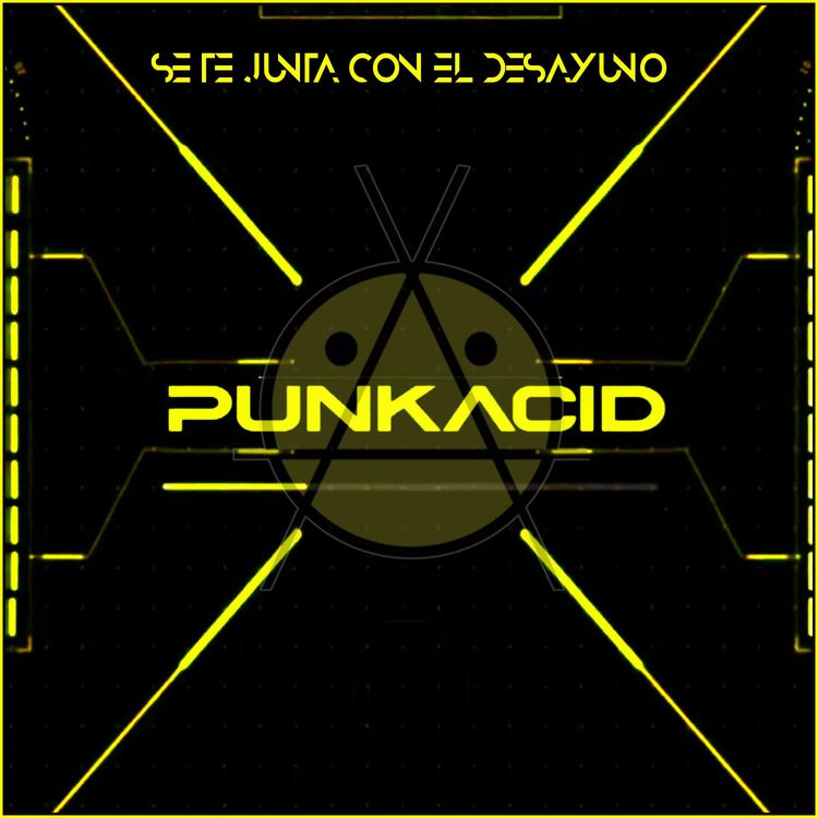 Punkacid's avatar image