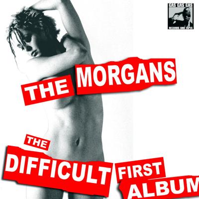 The Difficult First Album's cover