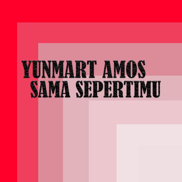 YUNMART AMOS's avatar image