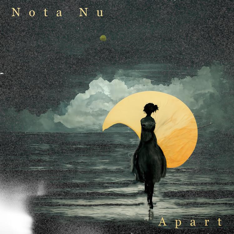 Nota Nu's avatar image