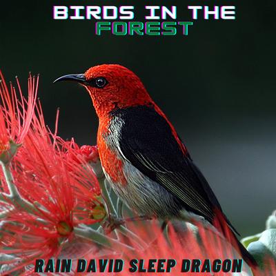 Lively Outdoor Bird Sounds's cover
