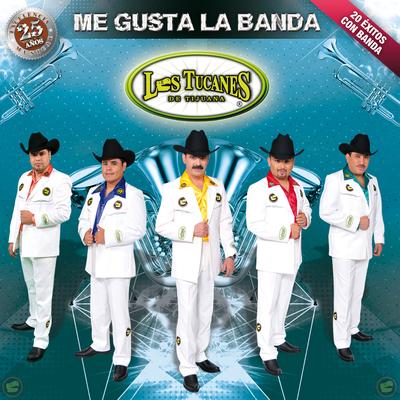 Fiesta En La Sierra (Versión Banda Sinaloense)'s cover