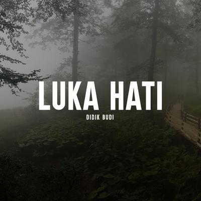 Luka Hati's cover