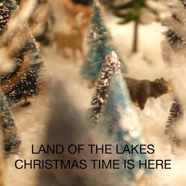 Land of the Lakes's avatar image