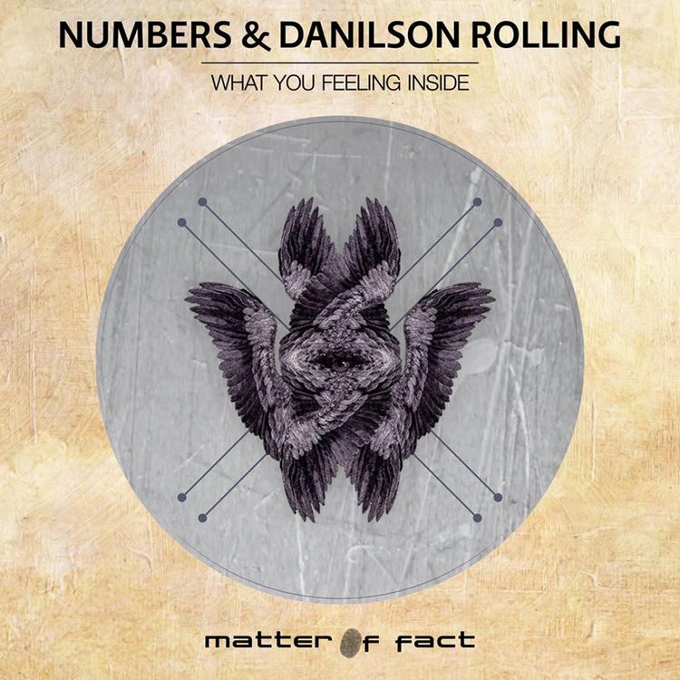 Numbers & Danilson Rolling's avatar image