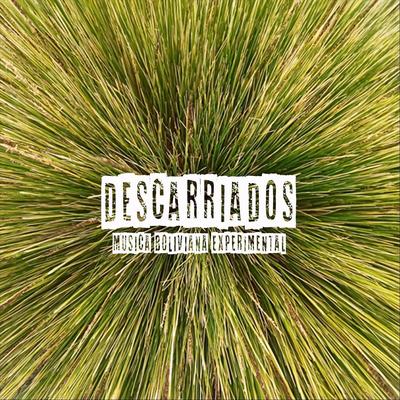 Descarriados's cover