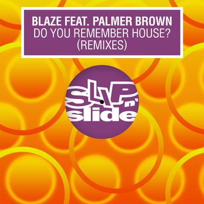 Do You Remember House? (feat. Palmer Brown) [Bob Sinclar & The Cube Guys Remix] By Blaze, Palmer Brown's cover