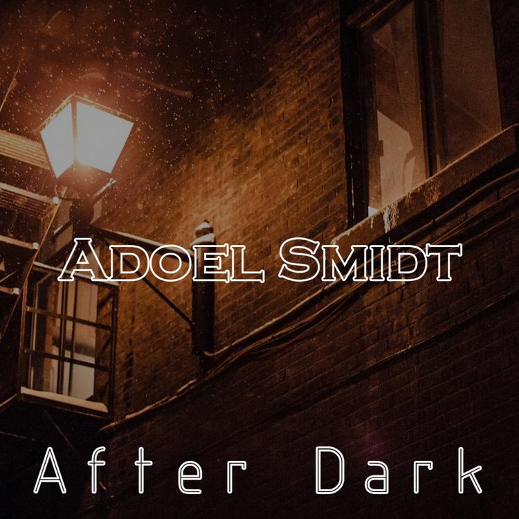 Adoel Smidt's avatar image