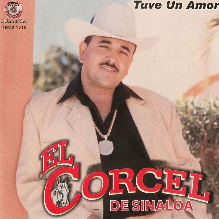 El Corsel de Sinaloa's avatar image
