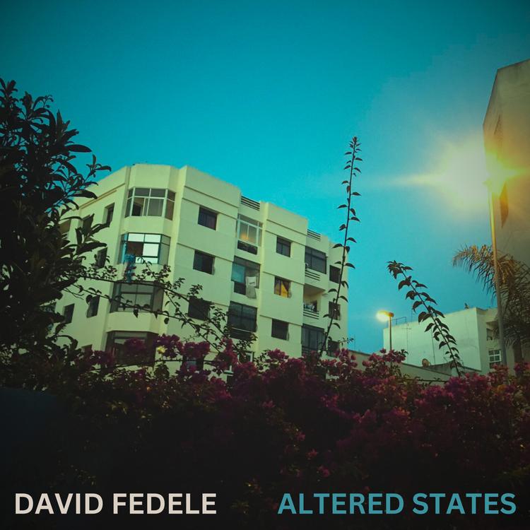 David Fedele's avatar image