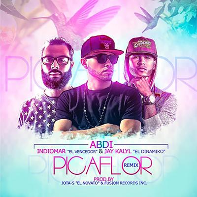 Picaflor (Remix)'s cover