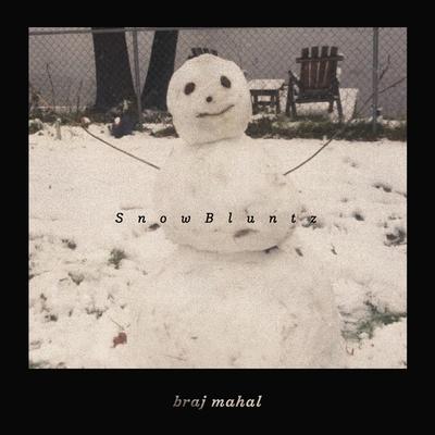 SnowBluntz By braj mahal's cover