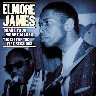 The Sky Is Crying By Elmore James's cover