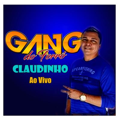 GANG DO FORRÓ E CLAUDINHO - AO VIVO's cover