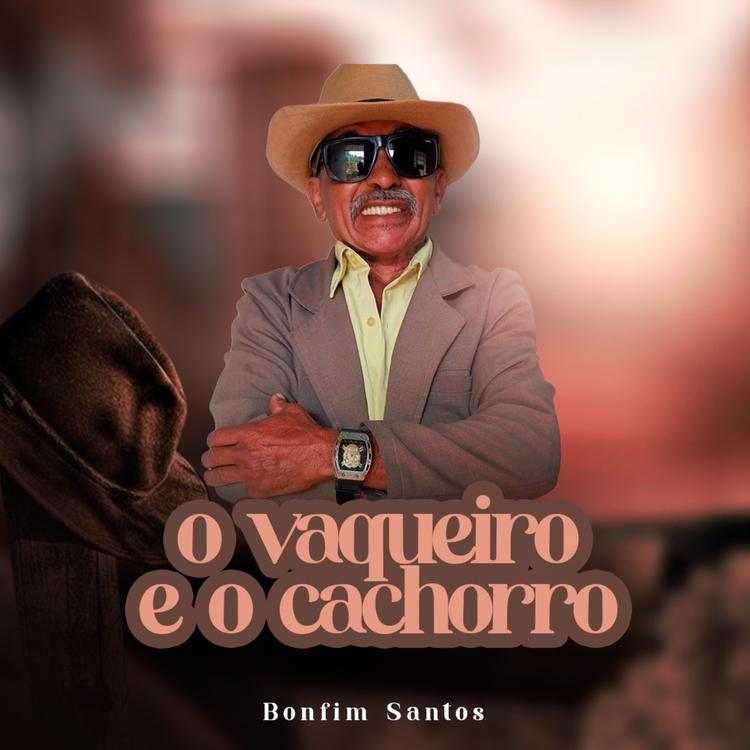 Bonfim Santos's avatar image
