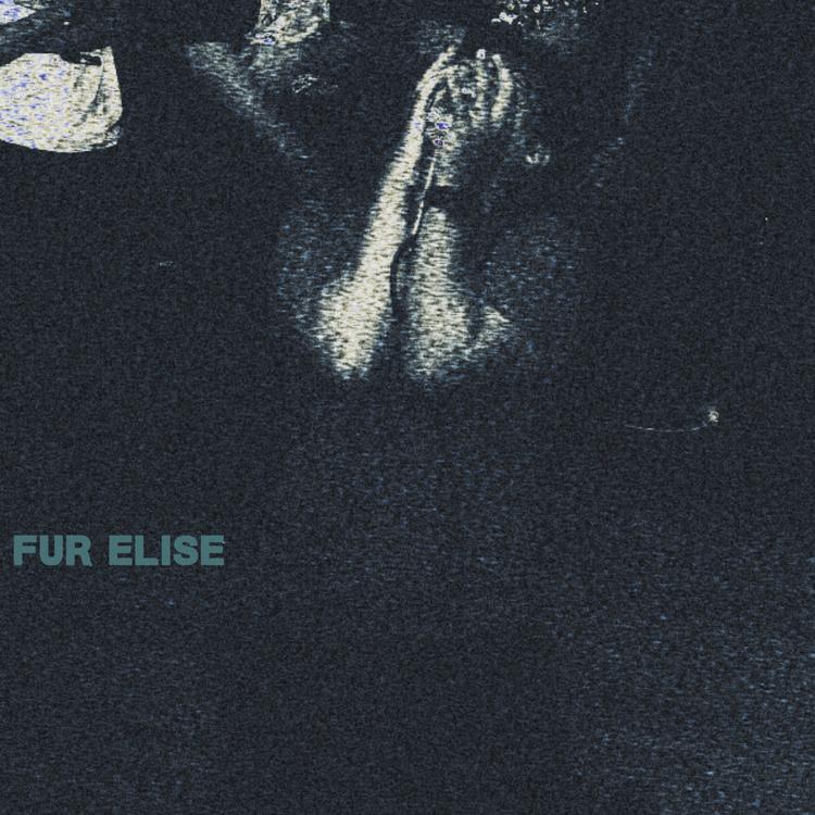 Fur Elise's avatar image