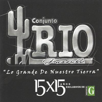 15 X 15 Años's cover