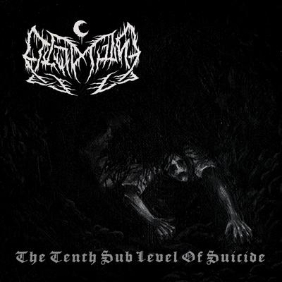 The Idiot Sun By Leviathan's cover