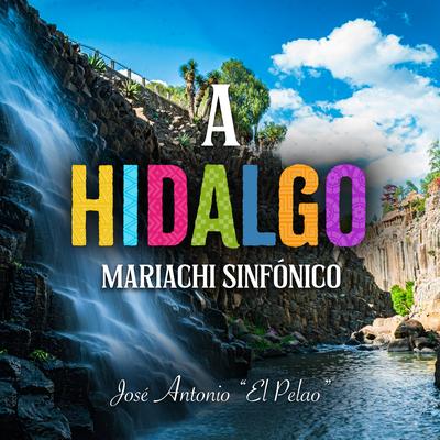 A Hidalgo's cover