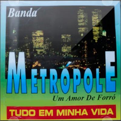 Tudo em Minha Vida By Banda Metrópole's cover