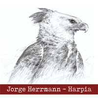Jorge Herrmann's avatar cover