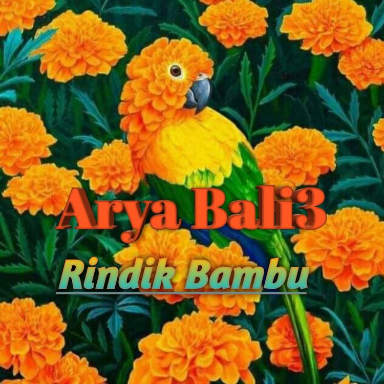 Arya Bali3's avatar image