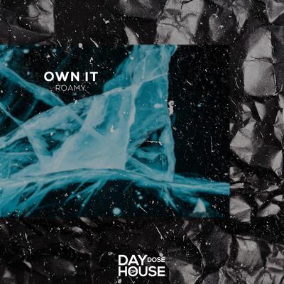 Own It By Roamy's cover