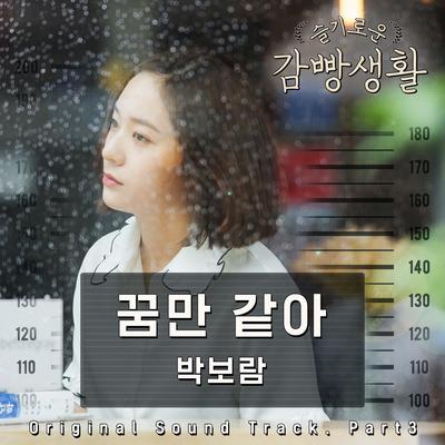 Like A Dream (Instrumental) By Park Boram's cover