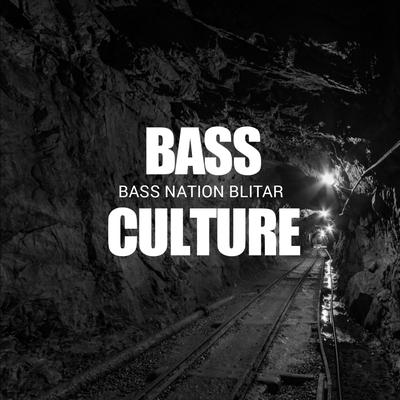 Bass Culture's cover