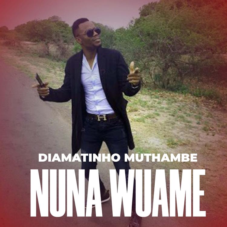 Diamatinho Muthambe's avatar image