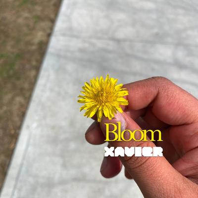 Bloom (Slowed)'s cover