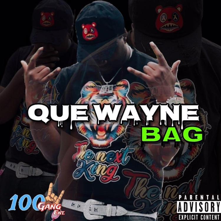 Que Wayne's avatar image