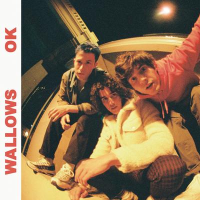 #wallows's cover