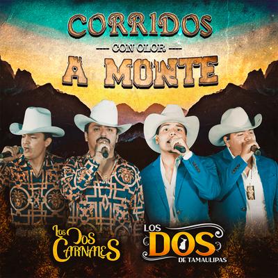 Corridos Con Olor a Monte (En Vivo)'s cover