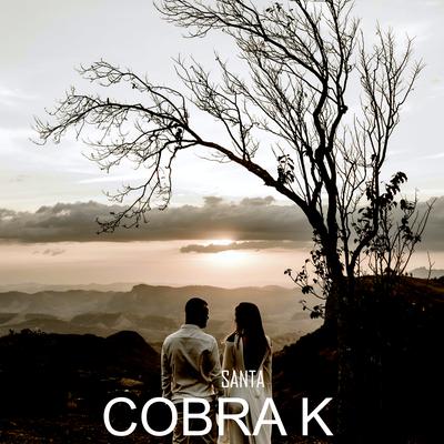 Cobra K's cover